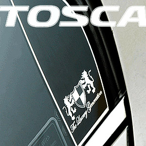 [ Epica (Tosca) auto parts ] C pillar molding